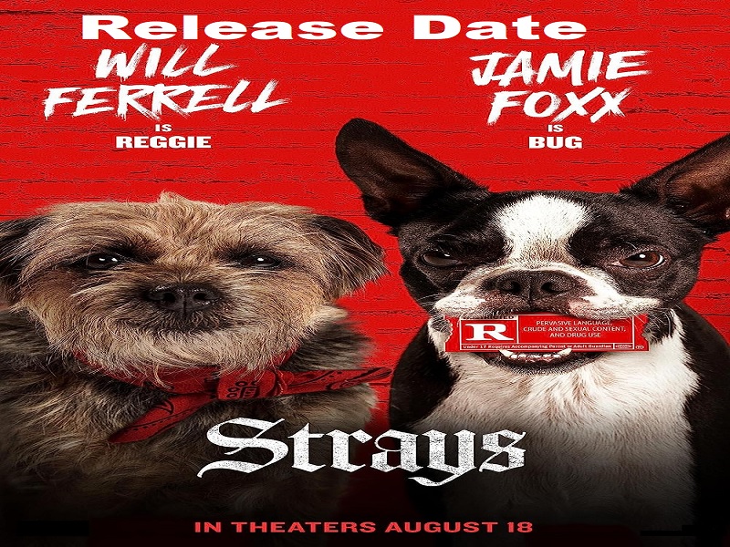 Strays release date